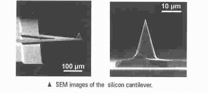 afm_mo3.gif