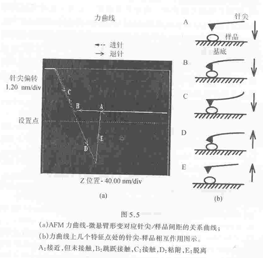 afm_te5.gif